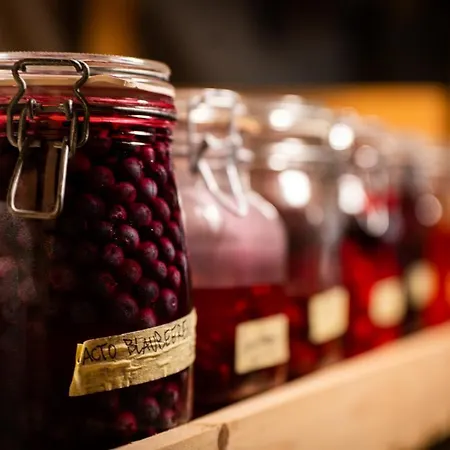 Hundert Boutique Mountainscape 英格堡